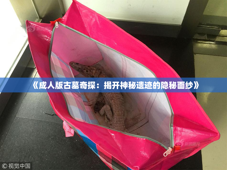 《成人版古墓奇探：揭开神秘遗迹的隐秘面纱》