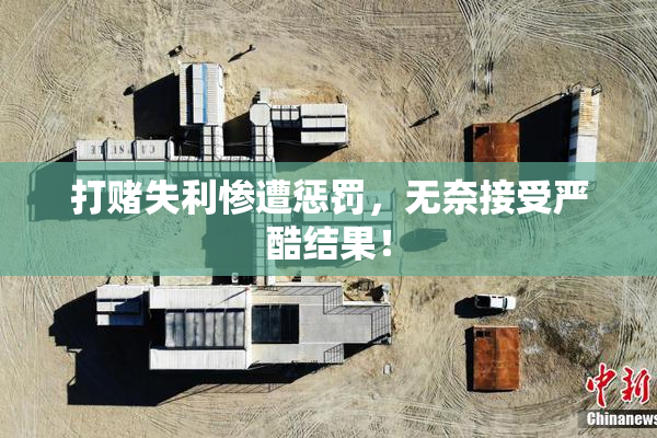 打赌失利惨遭惩罚，无奈接受严酷结果！