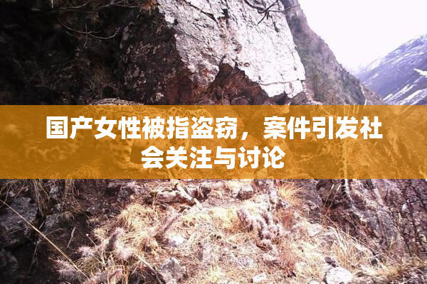 国产女性被指盗窃，案件引发社会关注与讨论