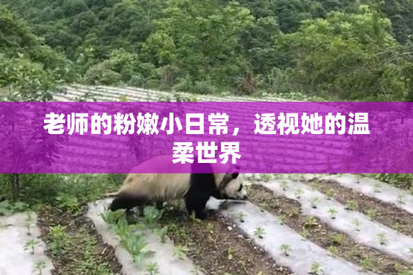 老师的粉嫩小日常，透视她的温柔世界