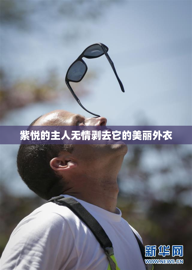 紫悦的主人无情剥去它的美丽外衣