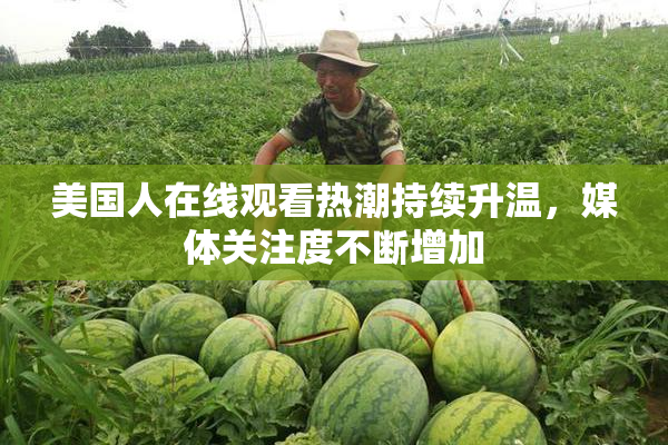 美国人在线观看热潮持续升温，媒体关注度不断增加