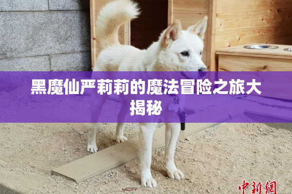 黑魔仙严莉莉的魔法冒险之旅大揭秘