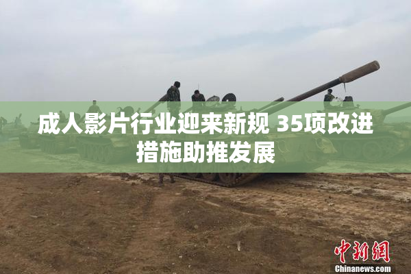 成人影片行业迎来新规 35项改进措施助推发展