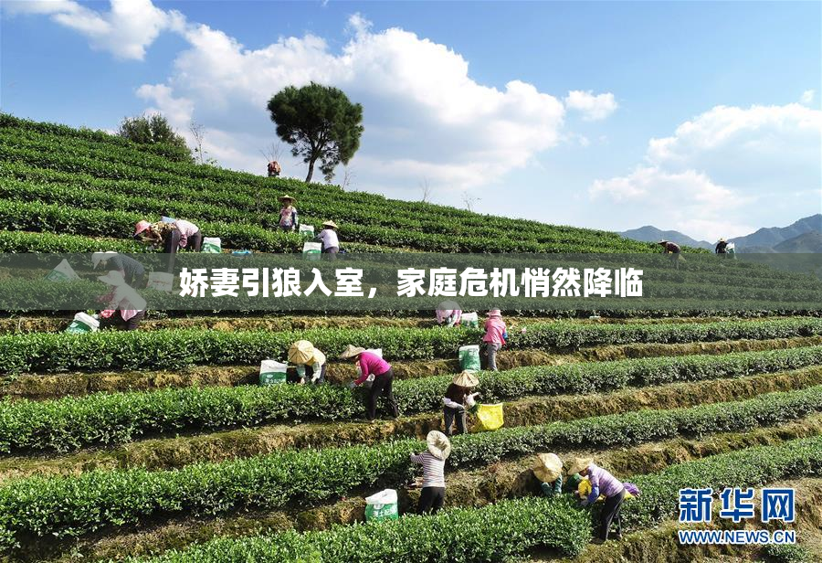 娇妻引狼入室，家庭危机悄然降临