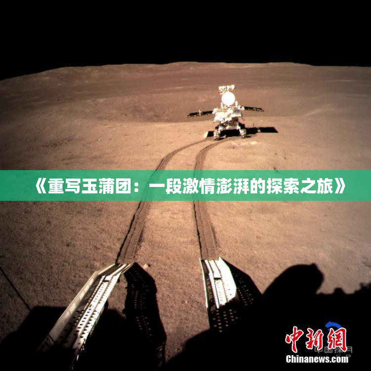 《重写玉蒲团：一段激情澎湃的探索之旅》