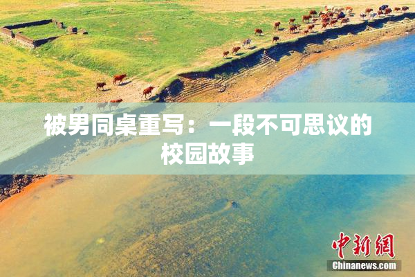 被男同桌重写：一段不可思议的校园故事
