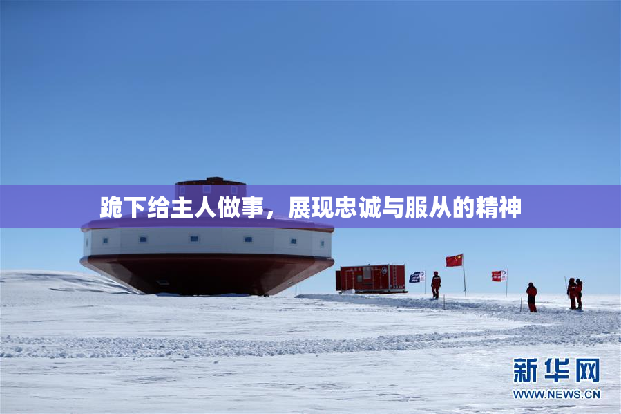 跪下给主人做事，展现忠诚与服从的精神
