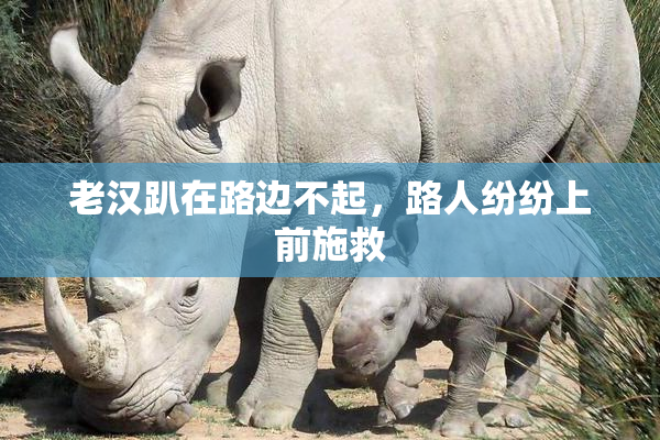 老汉趴在路边不起，路人纷纷上前施救