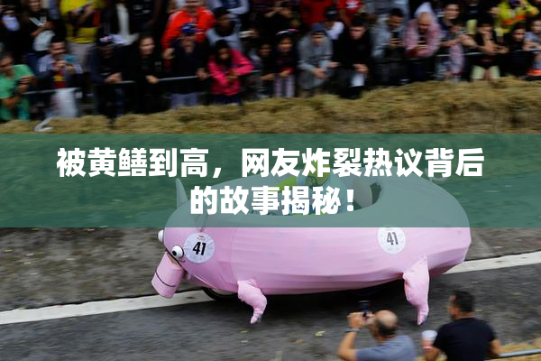 被黄鳝到高，网友炸裂热议背后的故事揭秘！
