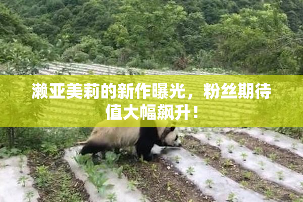 濑亚美莉的新作曝光，粉丝期待值大幅飙升！