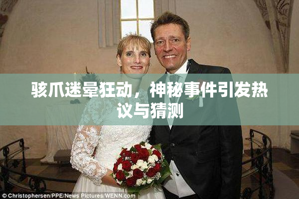 骇爪迷晕狂动，神秘事件引发热议与猜测