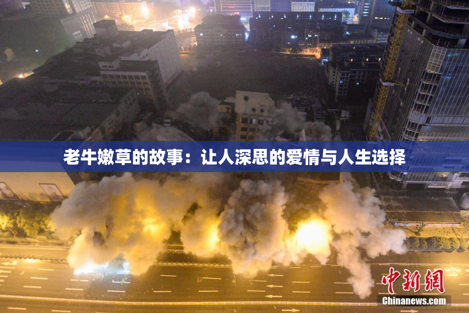 老牛嫩草的故事：让人深思的爱情与人生选择