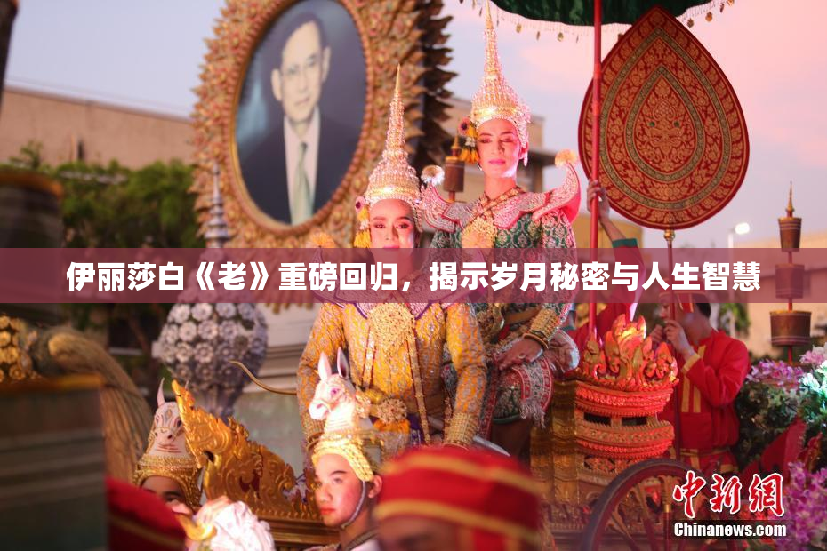 伊丽莎白《老》重磅回归，揭示岁月秘密与人生智慧