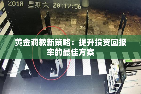 黄金调教新策略：提升投资回报率的最佳方案