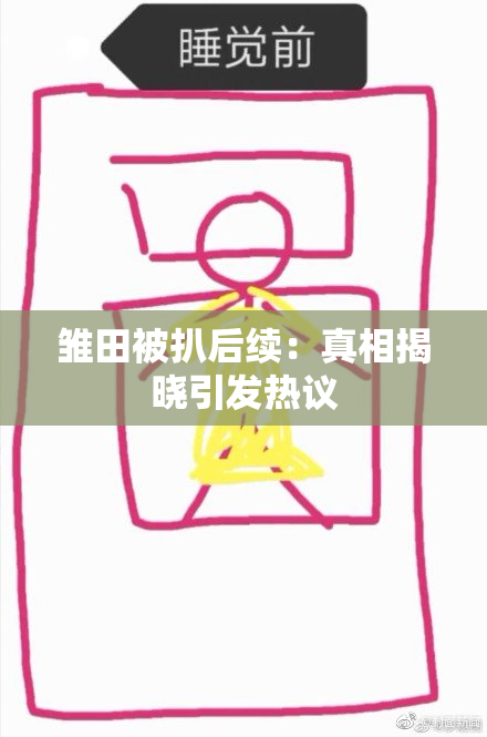 雏田被扒后续：真相揭晓引发热议