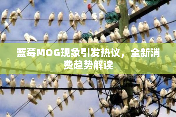 蓝莓MOG现象引发热议，全新消费趋势解读