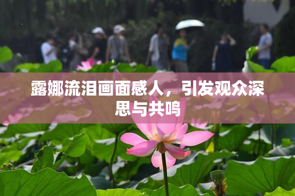 露娜流泪画面感人，引发观众深思与共鸣