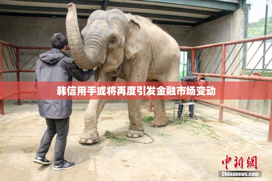 韩信用手或将再度引发金融市场变动