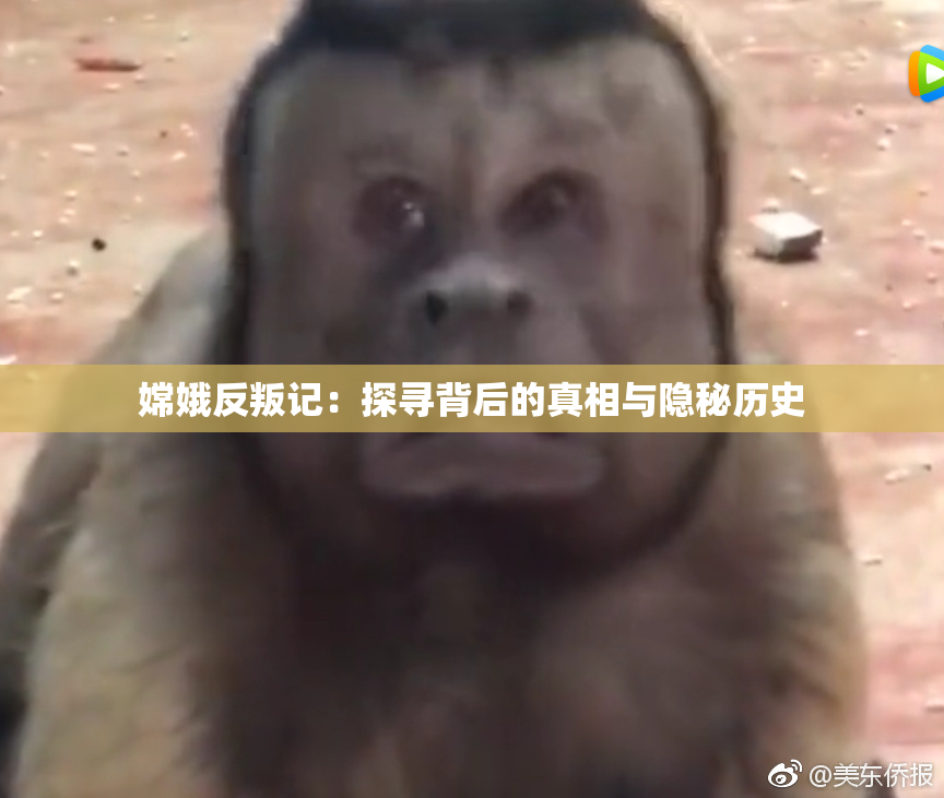 嫦娥反叛记：探寻背后的真相与隐秘历史