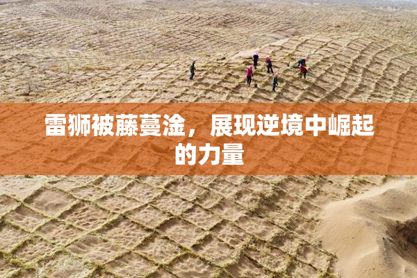 雷狮被藤蔓淦，展现逆境中崛起的力量
