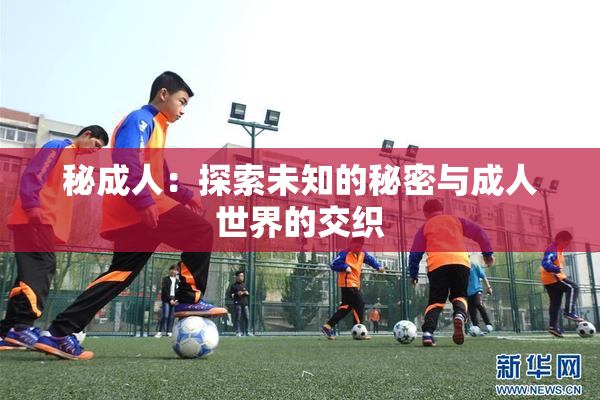 秘成人：探索未知的秘密与成人世界的交织
