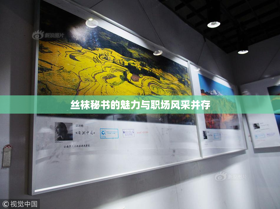 丝袜秘书的魅力与职场风采并存