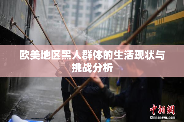 欧美地区黑人群体的生活现状与挑战分析