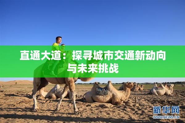 直通大道：探寻城市交通新动向与未来挑战