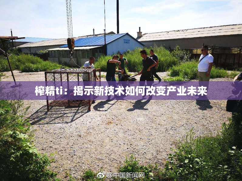 榨精ti：揭示新技术如何改变产业未来