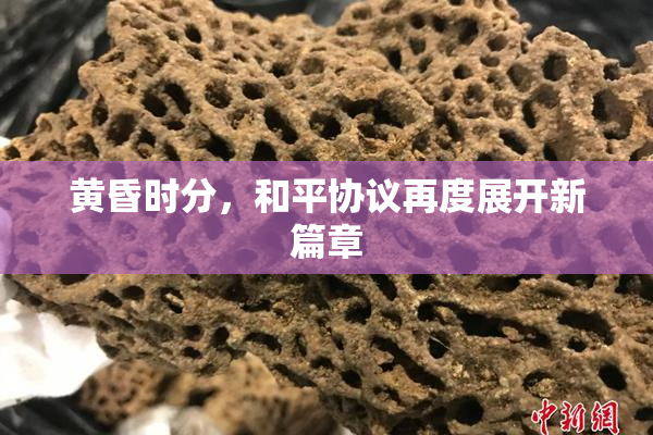 黄昏时分，和平协议再度展开新篇章