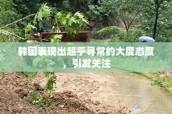 韩国表现出超乎寻常的大度态度，引发关注