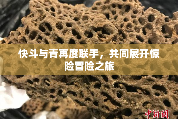 快斗与青再度联手，共同展开惊险冒险之旅