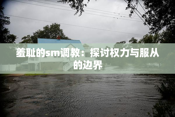 羞耻的sm调教：探讨权力与服从的边界