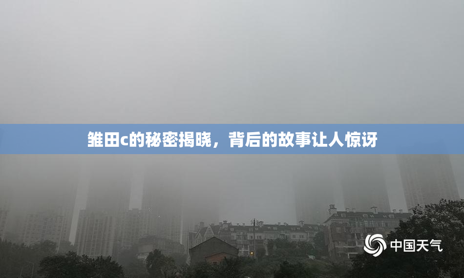 雏田c的秘密揭晓，背后的故事让人惊讶