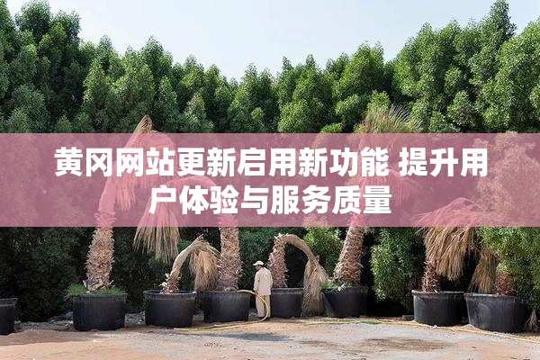 黄冈网站更新启用新功能 提升用户体验与服务质量