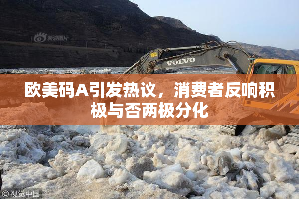 欧美码A引发热议，消费者反响积极与否两极分化