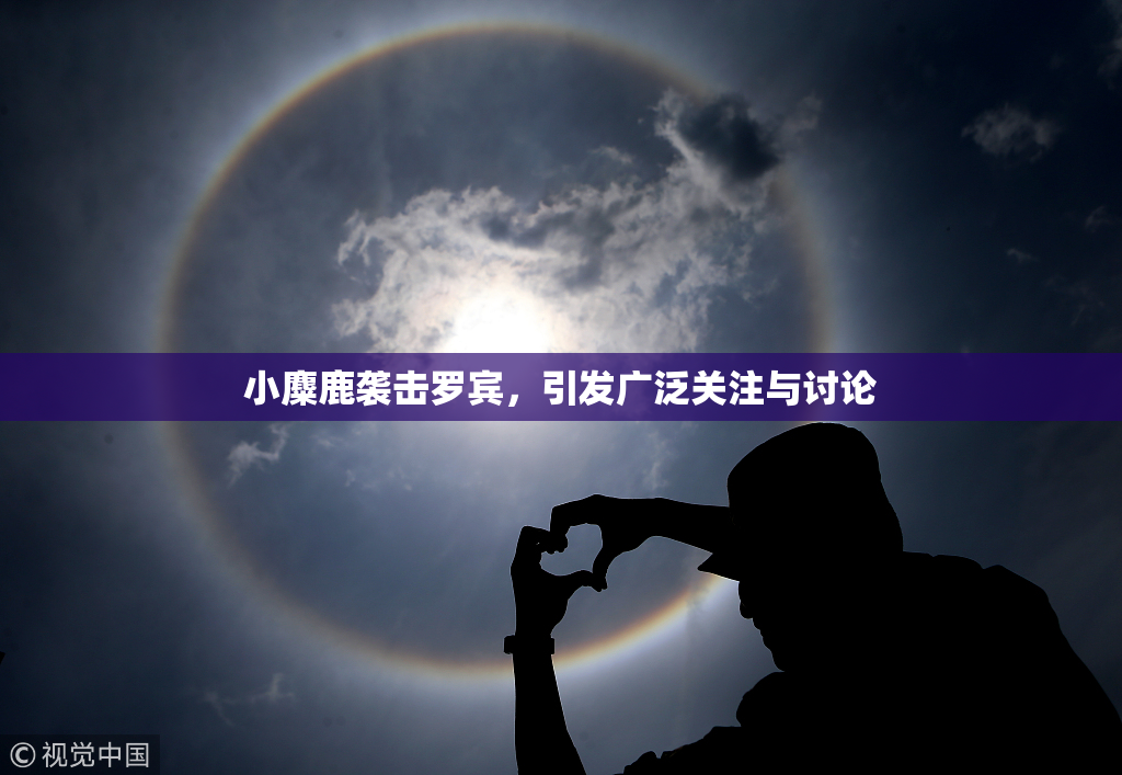 小麋鹿袭击罗宾，引发广泛关注与讨论
