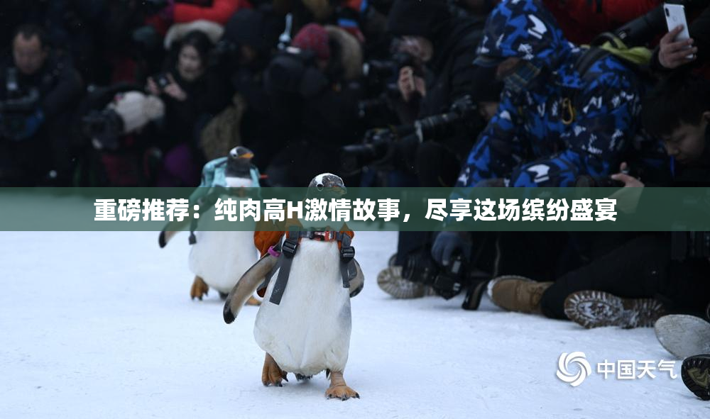 重磅推荐：纯肉高H激情故事，尽享这场缤纷盛宴