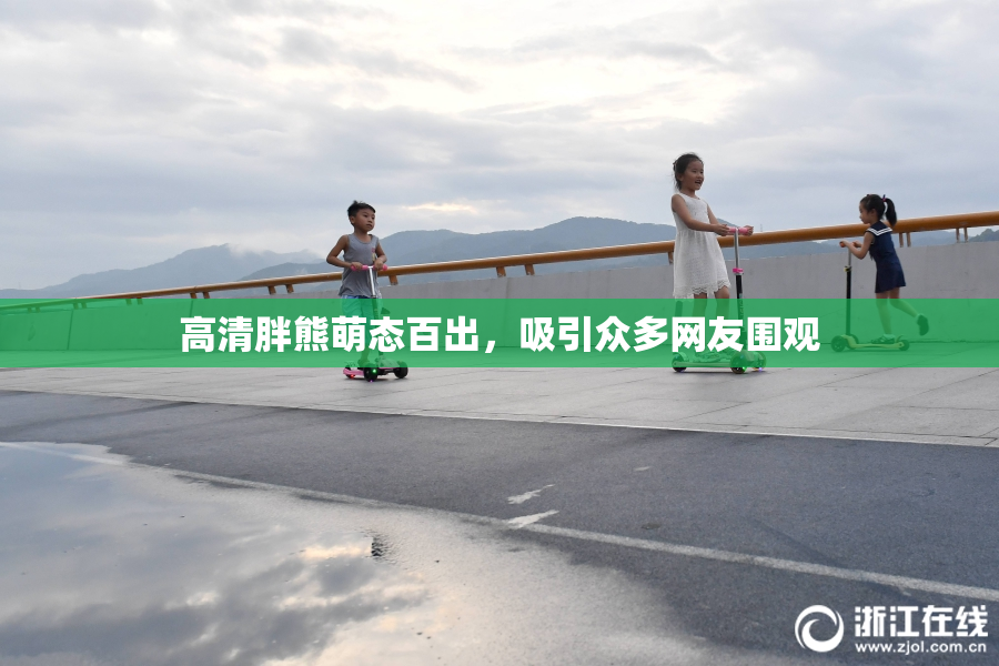 高清胖熊萌态百出，吸引众多网友围观