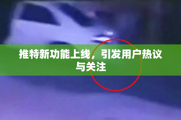 推特新功能上线，引发用户热议与关注