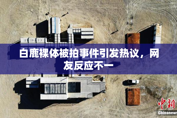白鹿裸体被拍事件引发热议，网友反应不一
