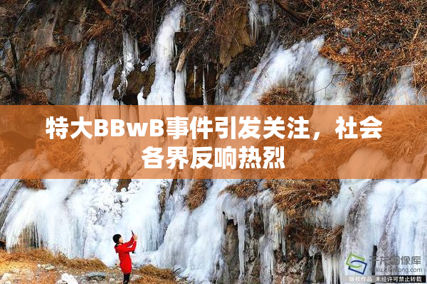 特大BBwB事件引发关注，社会各界反响热烈