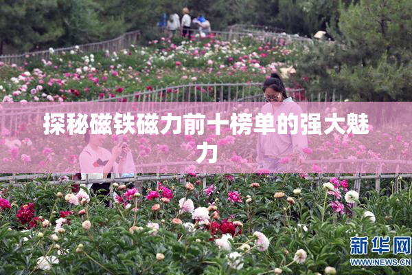 探秘磁铁磁力前十榜单的强大魅力