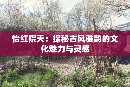 怡红院天：探秘古风雅韵的文化魅力与灵感