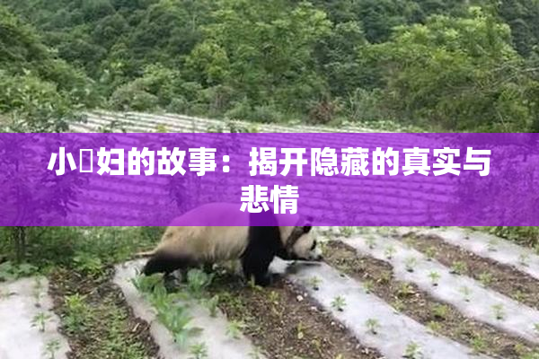 小婬妇的故事：揭开隐藏的真实与悲情