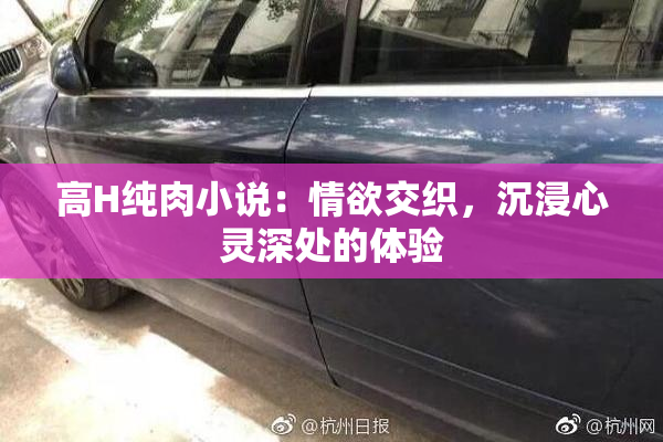 高H纯肉小说：情欲交织，沉浸心灵深处的体验