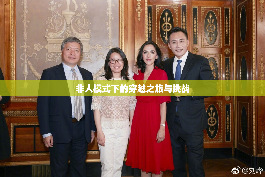 非人模式下的穿越之旅与挑战