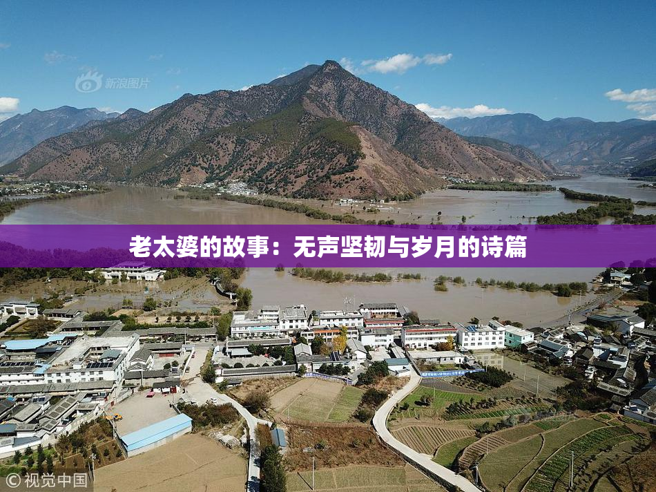 老太婆的故事：无声坚韧与岁月的诗篇