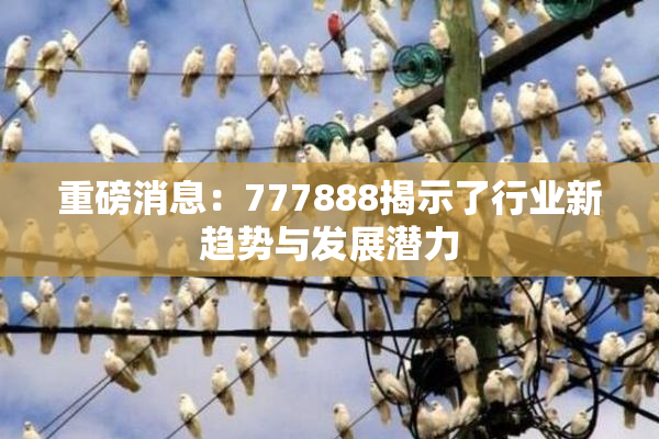 重磅消息：777888揭示了行业新趋势与发展潜力